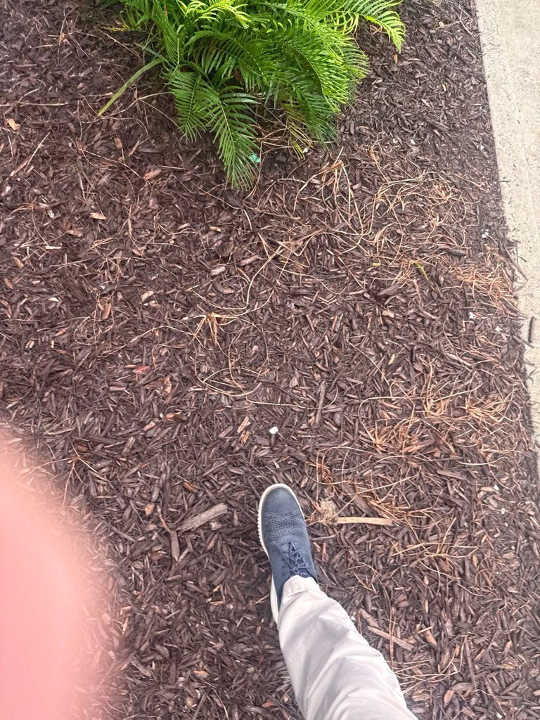 2024 Cadillac Escalade Base